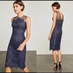 New BCBGMaxAzria Belila Women's  Knit Evening Dress Black and Blue Lace Size 8